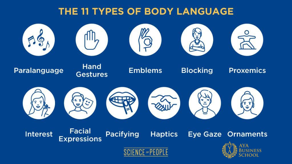 11نوع زبان بدن چیست؟